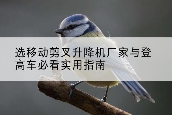 正阳电动升降机厂家-选移动剪叉升降机厂家与登高车必看实用指南