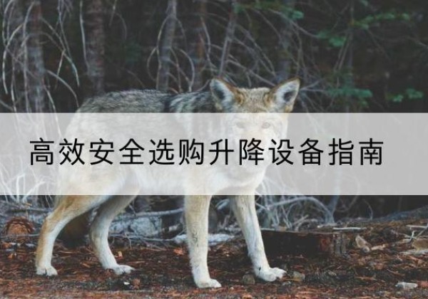 正阳升降货梯厂家推荐-*安全选购升降设备指南